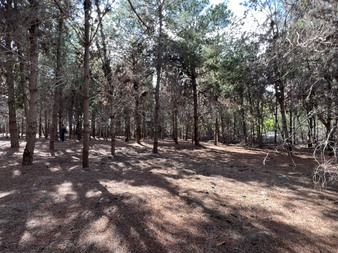 Enlarge photo 7