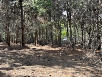 Enlarge photo 6