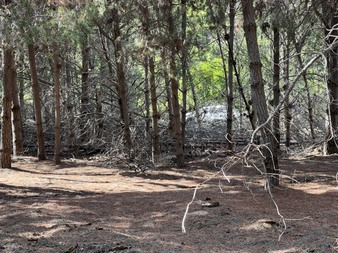 Enlarge photo 10