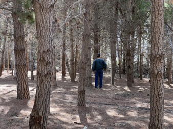 Enlarge photo 11