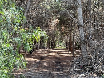 Enlarge photo 2