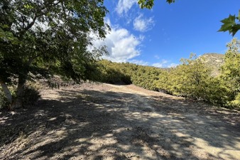 Enlarge photo 24