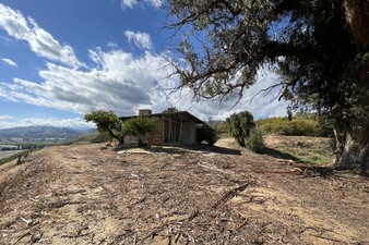 Enlarge photo 20