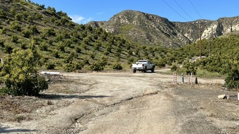 Enlarge photo 14