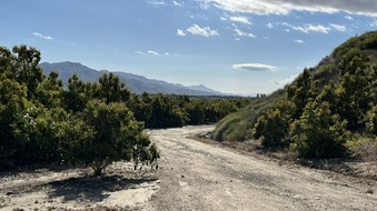Enlarge photo 6
