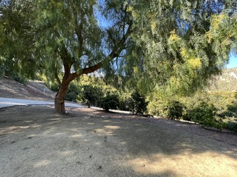 Enlarge photo 57