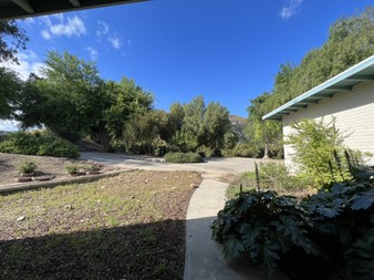 Enlarge photo 51
