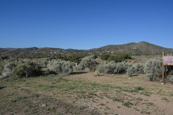 Acton Cemetery  - 2