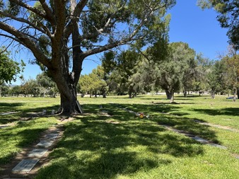 Enlarge photo 26