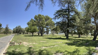 Enlarge photo 39