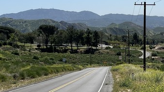Enlarge photo 49