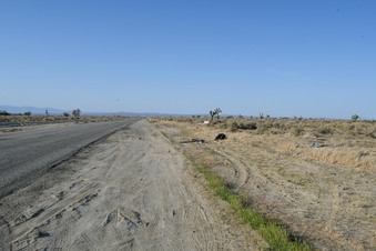 Enlarge photo 21