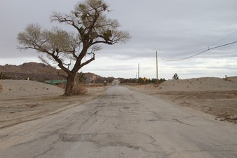 Enlarge photo 54