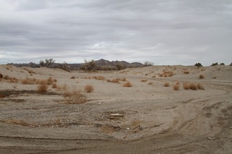Enlarge photo 58