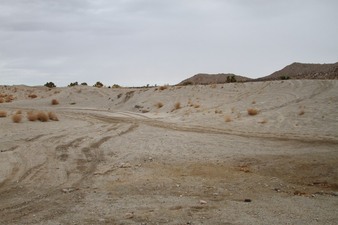Enlarge photo 59