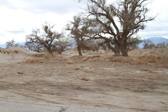 Enlarge photo 60