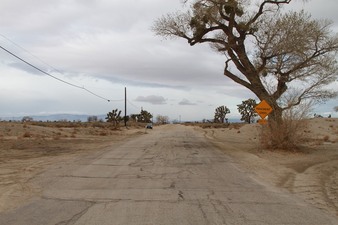 Enlarge photo 62