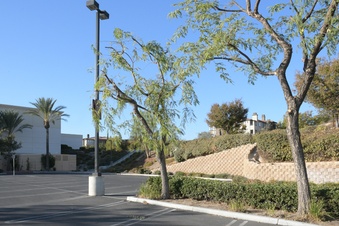 Enlarge photo 37