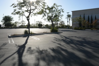 Enlarge photo 38
