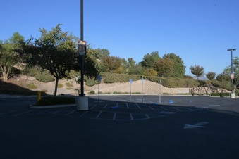 Enlarge photo 40