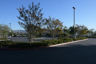 Enlarge photo 41