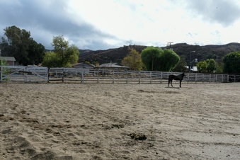 Enlarge photo 27