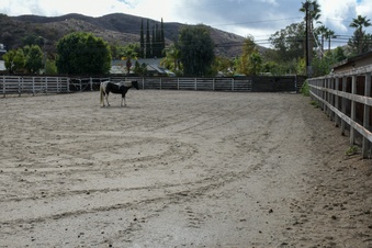 Enlarge photo 28