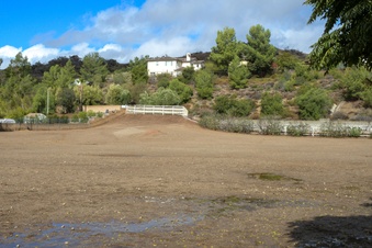 Enlarge photo 30