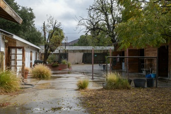 Enlarge photo 35
