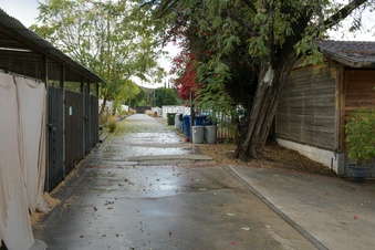 Enlarge photo 40
