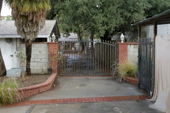 Enlarge photo 41
