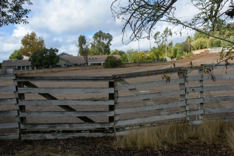 Enlarge photo 53