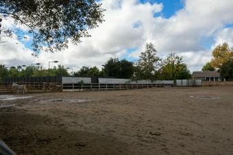 Enlarge photo 54