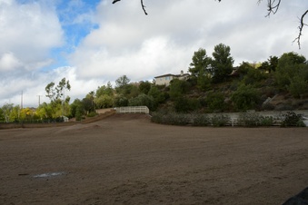 Enlarge photo 56