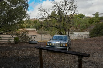 Enlarge photo 61
