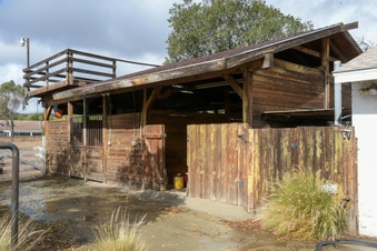 Enlarge photo 78