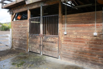 Enlarge photo 81