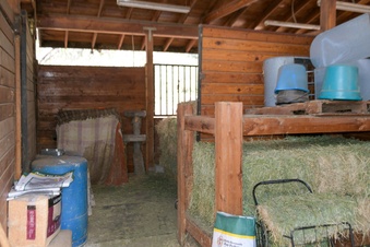 Enlarge photo 82