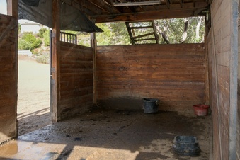Enlarge photo 83