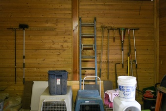 Enlarge photo 87