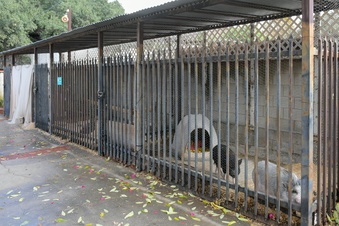 Enlarge photo 93