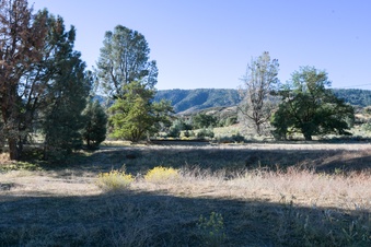 Enlarge photo 39