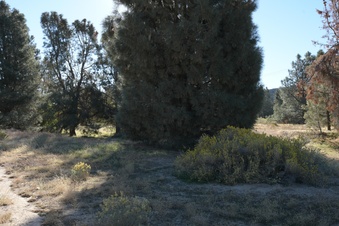 Enlarge photo 40