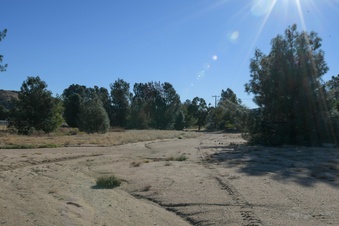Enlarge photo 42