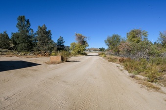 Enlarge photo 50