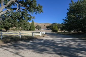 Enlarge photo 63