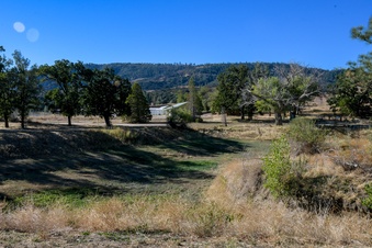 Enlarge photo 72