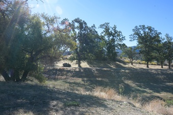 Enlarge photo 73