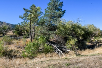 Enlarge photo 74