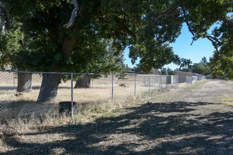 Enlarge photo 78